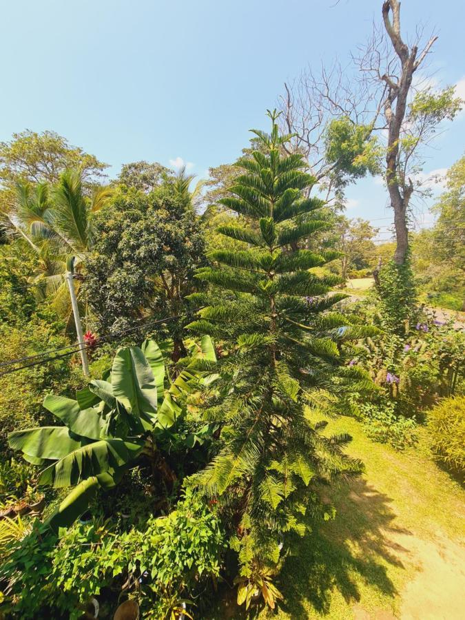 Peacock Villa Resort Удавалаве Екстер'єр фото